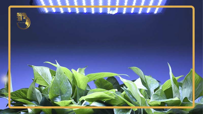 لامپ های ال ای دی برای رشد گیاهان